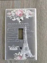 Paris Crown Roses Decorative Light Switch Cover Home Vintage Farmstyle French