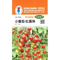 在飛比找蝦皮購物優惠-小番茄【農友種苗】小番茄-紅真珠 農友種苗 "特選蔬果種子"