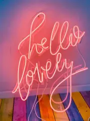 Hello Lovely Acrylic 20"x16" Neon Sign Light Lamp With Dimmer