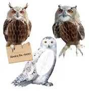 Harry Potter Owl Honeycomb Hanging Decorations (Pack of 3)