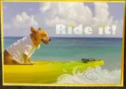 Hallmark “There’s Nothing You Can’t Do” Greeting Card