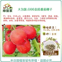 在飛比找Yahoo奇摩購物中心優惠-【綠藝家】大包裝G66金鈴蕃茄種子0.2克(約65顆)