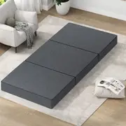3-Fold STARRY EUCALYPT Folding Mattress Foldable Fabric Lounge Sofa Chair Foam Portable Single