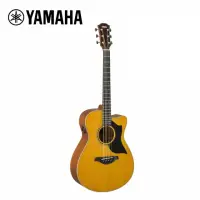 在飛比找momo購物網優惠-【Yamaha 山葉音樂】AC5M A.R.E 電民謠木吉他