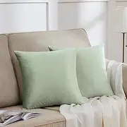 GIGIZAZA Throw Pillow Covers 22x22 Inch Sage Green Velvet Pillows Decorative Covers Pack of 2 for Sofa Pillowcase Cushion Covers