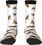 [HVTTIOR] Cute Squirrel Print Athletic Adult Socks Single Side Circumference For Men And Women Casual Wear