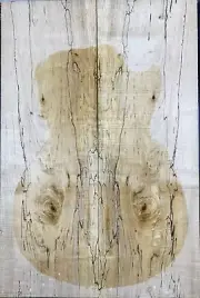 8mm Figure les paul Guitar Top Spalted Maple Bookmatched Wood Luthier Supply