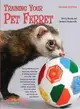 Training Your Pet Ferret