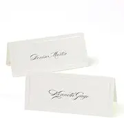 Gartner Studios Ivory Pearl Printable Place Cards, Pearlescent Border, 3.75 by 1.5 Inches, 48 Count