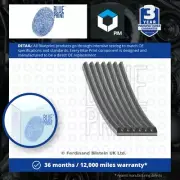 7 Rib Multi V Drive Belt fits TOYOTA HILUX Mk7 3.0D 05 to 15 1KD-FTV Blue Print