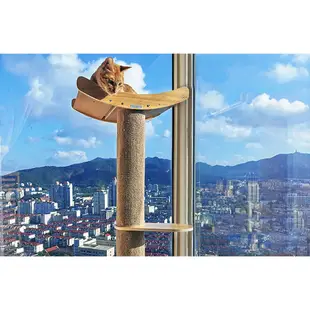 JoyCat 通天柱貓爬架 大型貓爬架 貓柱貓抓板 寵物家具 爬架 抓板 玻璃爬架 貓跳台 跳台 貓用 玩具