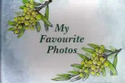Photo Album MY FAVOURITE PHOTOS WATTLE 180 X 120mm Keepsake 36 Pictures 7x4