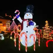 SOWAZ Solar Outdoor 8 Pack 20 inches LED 8 Modes Christmas Candy Cane Lights