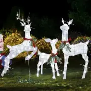 3 Piece Glittered Reindeer Set with Linkable LEDs - Ultimate Xmas Elegance