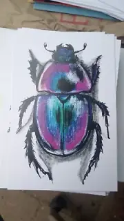 Scarab Beetle Post Card By Brandy Devoid