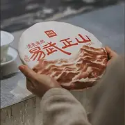 Pu-erh tea,Rainforest Ancient Tree Tea,2020,易武正山Yiwu Zhengshan,357g,Cooked