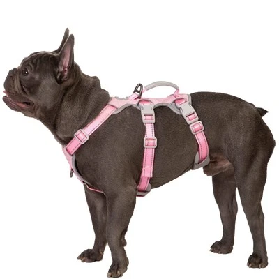 Escape Proof Dog Harness, Escape Artist Harness, Fully Reflective Harness wit...