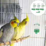 Parrot Water Feeder Parrot Drinking Fountain Automatic Bird Feeder
