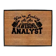 Youre Looking At An Awesome Analyst - Funny Novelty Doormat Man Cave Floor mat