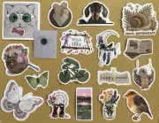 Outdoor Enthusiast Stickers Dachshund Dream Catcher Nature Lover Succulent NICE