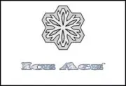 MTG Magic the Gathering - Complete Set - Ice Age + Booster Pack/Empty Deck Box