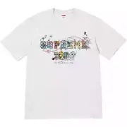 Supreme Varsity Tee T Shirt - Ash Gray - Size Large - SS24 New Authentic