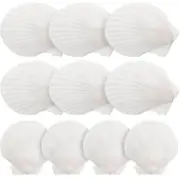 10pcs White Scallops Shell Seashells Large Natural Shell Embellishment Craft Material 7X7cm
