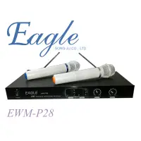 在飛比找蝦皮購物優惠-(免運)EAGLE 專業雙頻無線麥克風組(EWM-P28)