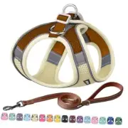 Step in Dog Harness and Leash Set - No Pull M(Chest: 16 - 18") Beige-Brown