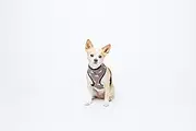 MOG & BONE Neoprene Dog Harness, Brown/White, Small