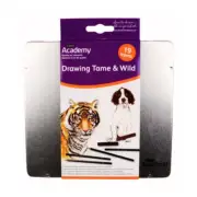 Derwent Academy Sketch & Draw Collection Tin, Pencils, Pastels And Charcoal