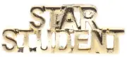 Star Student 1 inch Hat Lapel Pin AV0194 F4D12C