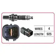 RAE Oxygen Sensor - OX552