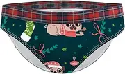 [Tiunyeah] Stretch Women Panties Ladies Underwear Funny Xmas Stocking Tree Pug Dog Bells Hipster Panties S Bikini Panty