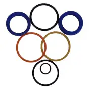 836919M91 Header Lift Seal Kit Fits Massey Ferguson Swather 35PT