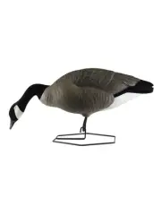 NEW DOA Decoys 450002 Rogue Series Full Body Goose Feeder Packs Decoys 6pk