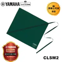 在飛比找蝦皮商城優惠-YAMAHA 通條布M CLSM2