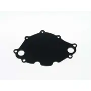 Meziere Small Block for Ford Backing plate Black Early 221/289 Mates To WP111 Pump