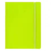 Filofax Classic A5 Notebook Ruled Pages Leather-Look Writing Stationery Pear