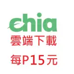 💽💽 CHIA 奇亞幣 P圖 代P盤 代客PLOT 線上代P 雲端 代購硬碟