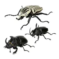 在飛比找有閑購物優惠-萬代 扭蛋 生物大圖鑑 P5 獨角仙 東方歌利亞 大聖甲蟲 