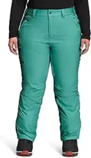The North Face Freedom Insulated Pant Wasabi ( 3X )
