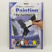 Paint by Numbers Beginners Easy Acrylic on Paintboard 12" x 8" Eagle Waterfall