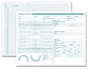 21012 Dental Exam Record Anatomic Diagrams Horizontal Format 8 1/2 x 11" QTY 250