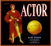 Pomona Actor Orange Citrus Fruit Crate Label Art Print