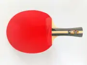DHS T3002 TABLE TENNIS PADDLE PING PONG RACKET 5 PLY WOOD