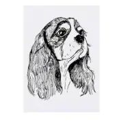 'Cavalier King Charles Head' Temporary Tattoos / Transfers (TO00052314)