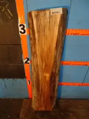 A1948 2 1/8" THICK KILN DRIED spalted Maple Live Edge Slab shelf wood