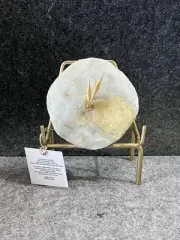 Artisans Hand Crafted Geode Agate 105mm Polished Crystal Quartz Mantle Clock