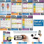 Gym and Muscle Building Exercise Workout Posters - Set of 7 Fitness Posters | Laminated Exercise Posters | Size - 841mm x 594mm (A1) | Shoulders, Back, Chest, Arms, Legs, Core | Improves Personal Fitness